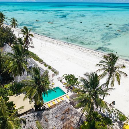 Pili Pili Palm Beach Jambiani  Exteriér fotografie