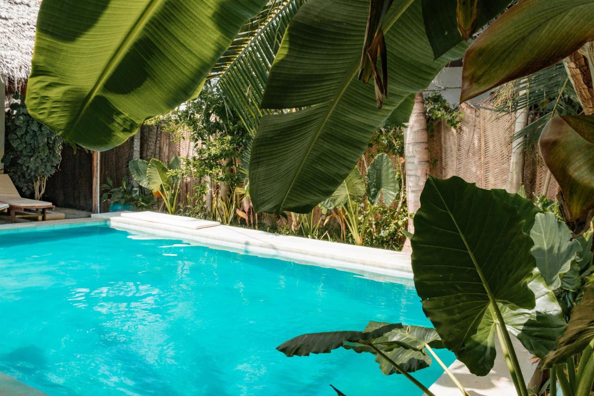 Pili Pili Palm Beach Jambiani  Exteriér fotografie