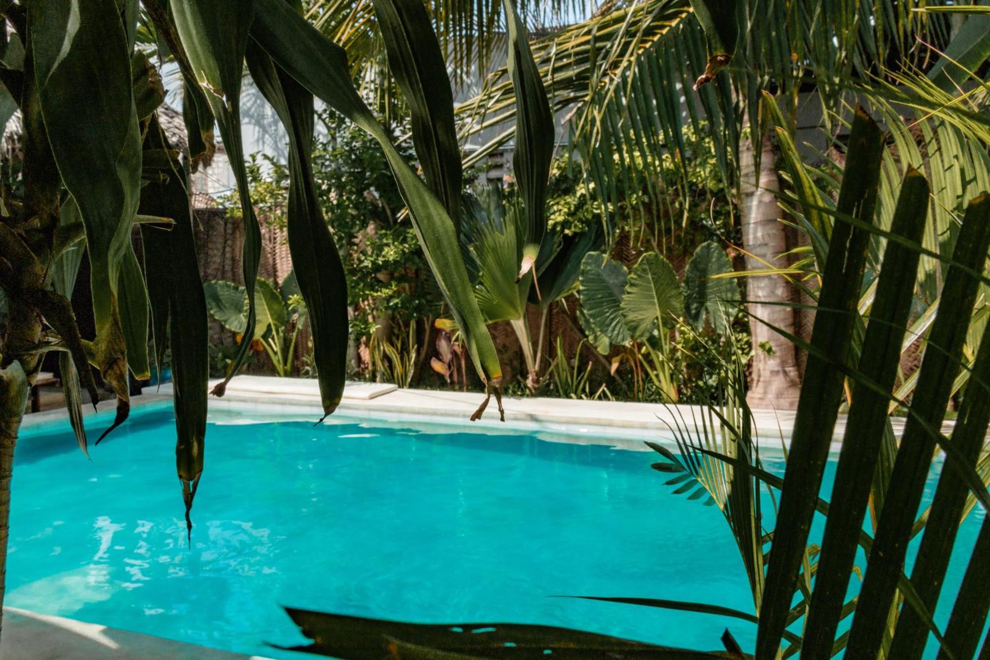 Pili Pili Palm Beach Jambiani  Exteriér fotografie