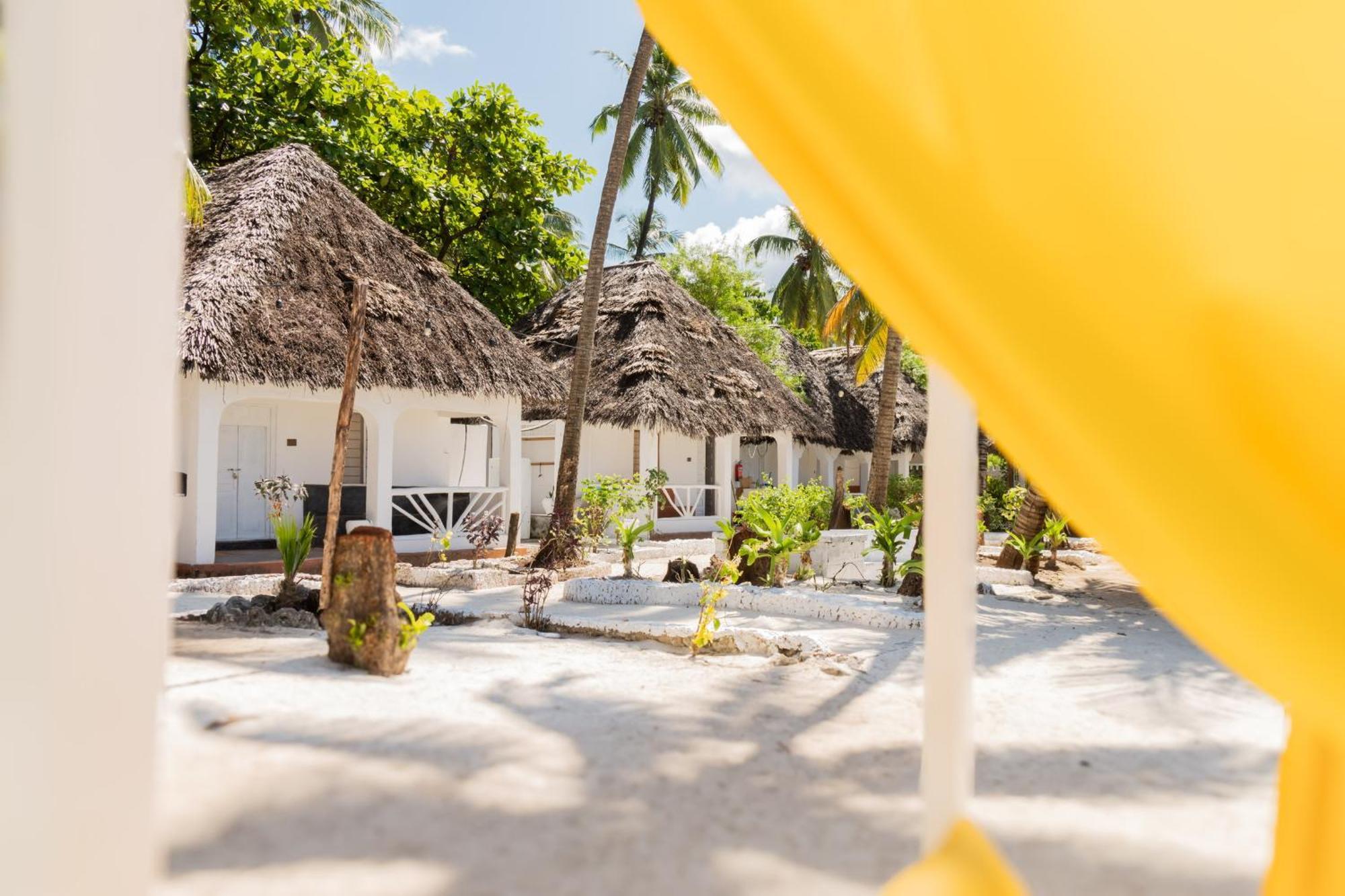 Pili Pili Palm Beach Jambiani  Exteriér fotografie