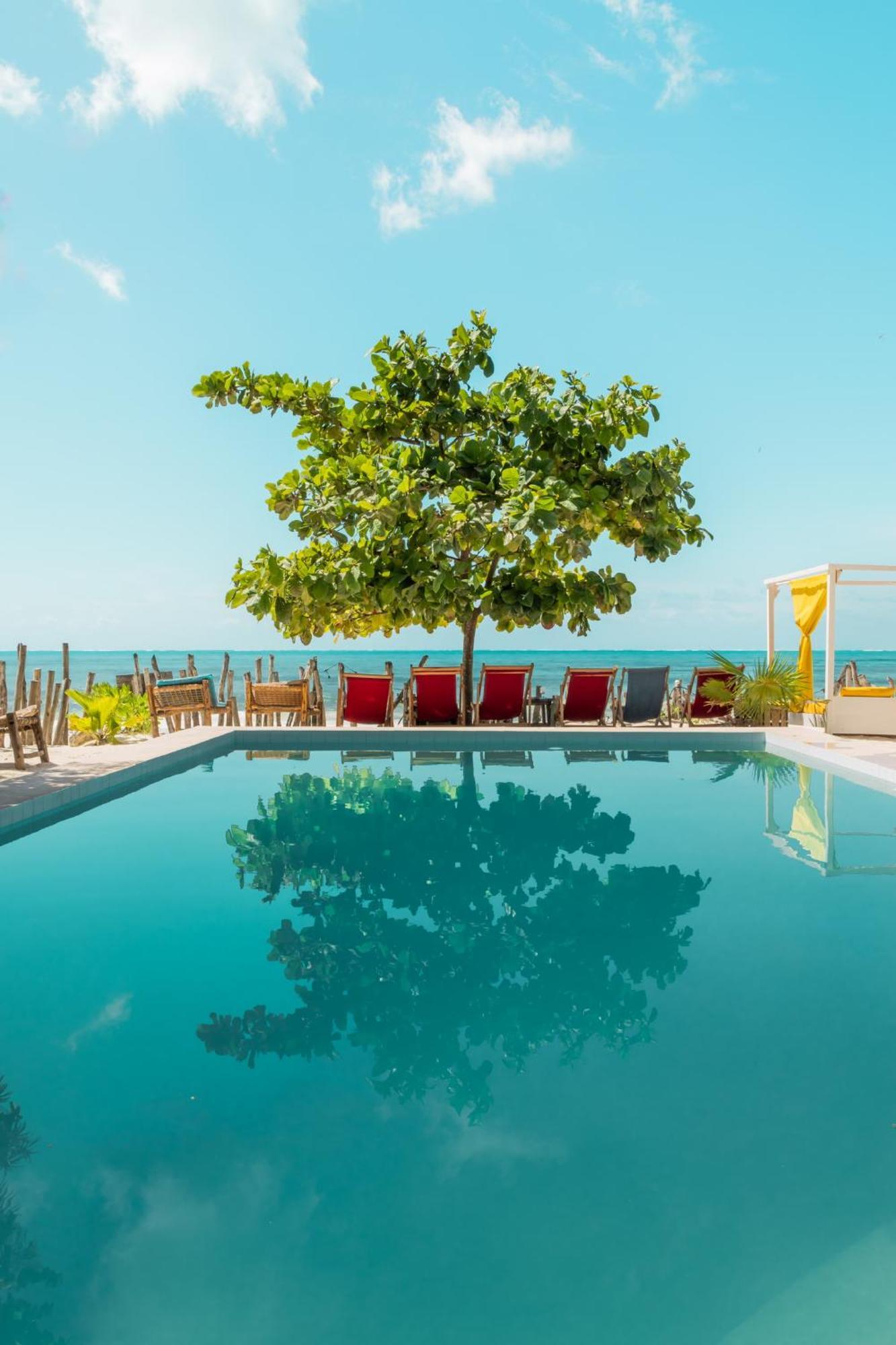 Pili Pili Palm Beach Jambiani  Exteriér fotografie