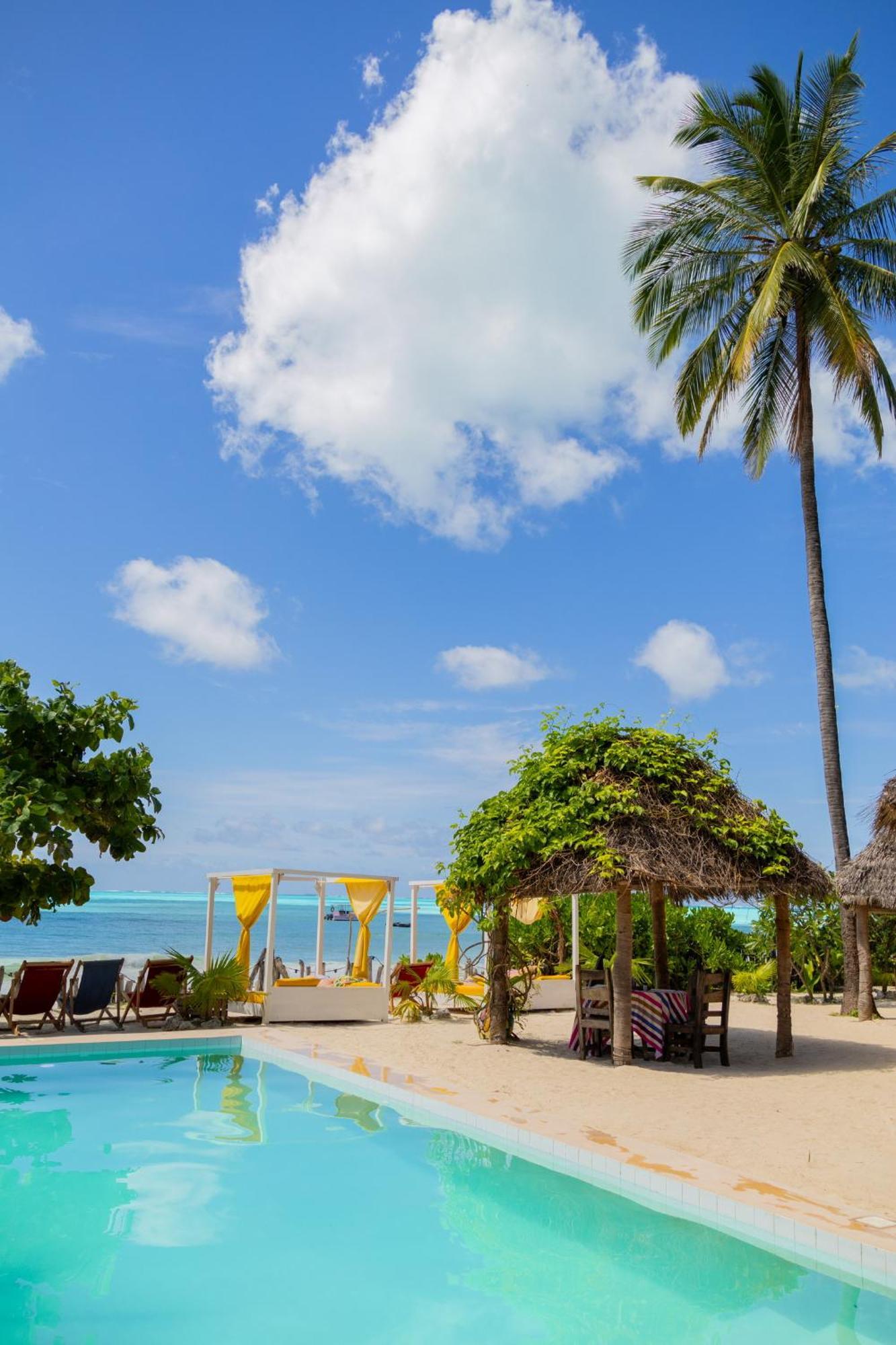 Pili Pili Palm Beach Jambiani  Exteriér fotografie