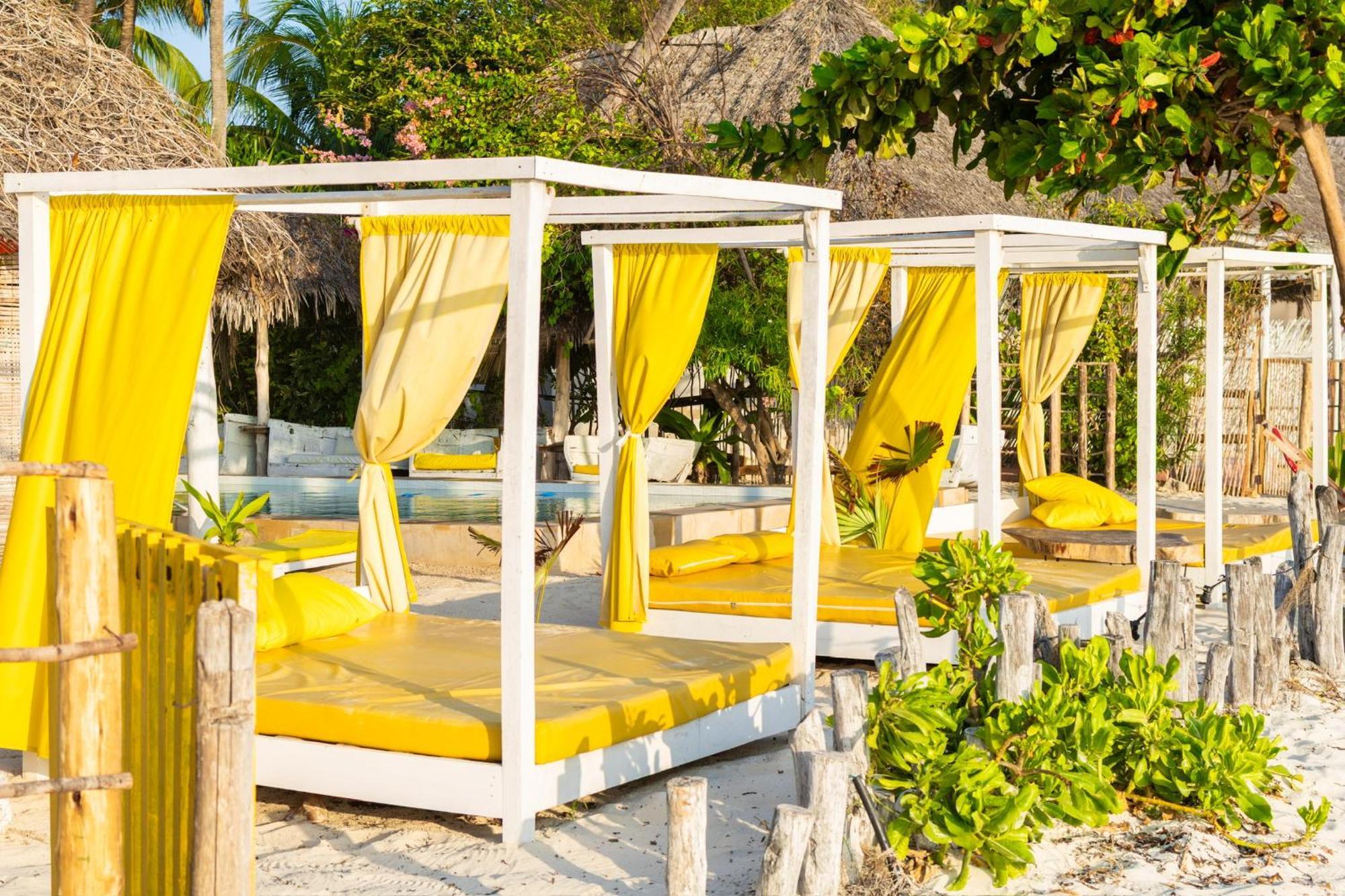Pili Pili Palm Beach Jambiani  Exteriér fotografie